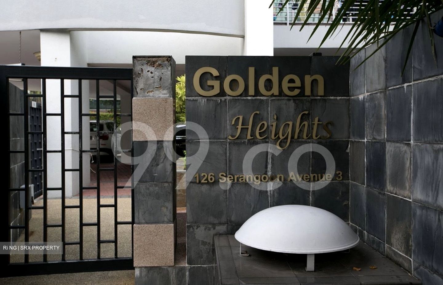 Golden Heights (D19), Apartment #430473661